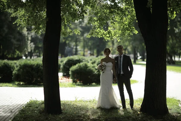 Жених и невеста в летнем парке — стоковое фото