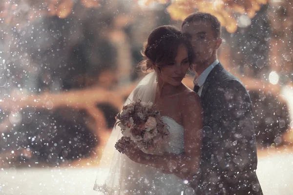 Novia y novio en el parque de verano — Foto de Stock