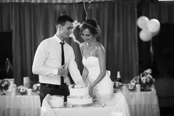 Bride and groom cutting cake — Stock Photo, Image