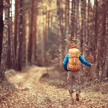 Orman yolundaki sonbahar ormanlarında turist, Ekim ormanlarında macera, sonbaharda doğa yürüyüşü.