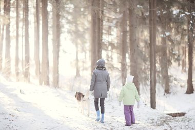 Çocuklar, güneşli bir ormanın kış manzarasında köpekle oynarlar. Kar yağışı yapan kızlar ve iri yapılı kızlar.