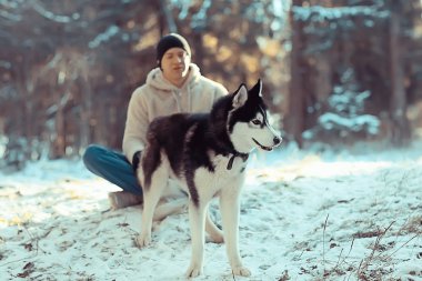 Köpekli bir adam kış ormanlarında yürüyüşe çıkıyor, güneşli bir Noel manzarası, parkta yaşayan insanlar ve köpekler.