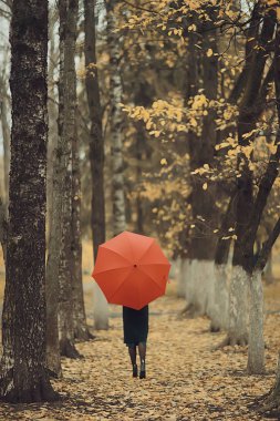 Şemsiyeli kız sonbahar parkında poz veriyor, Ekim manzaralı yalnız kadın elinde kırmızı bir şemsiye tutuyor.
