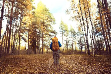Sırt çantalı adam arkadan bir manzara, ormanda yürüyüş, sonbahar manzarası, sırt çantalı bir turistin arkası.