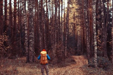 Sırt çantalı adam arkadan bir manzara, ormanda yürüyüş, sonbahar manzarası, sırt çantalı bir turistin arkası.