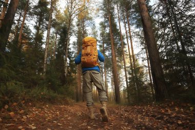 Sırt çantalı adam arkadan bir manzara, ormanda yürüyüş, sonbahar manzarası, sırt çantalı bir turistin arkası.