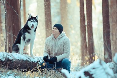 Köpekli bir adam kış ormanlarında yürüyüşe çıkıyor, güneşli bir Noel manzarası, parkta yaşayan insanlar ve köpekler.
