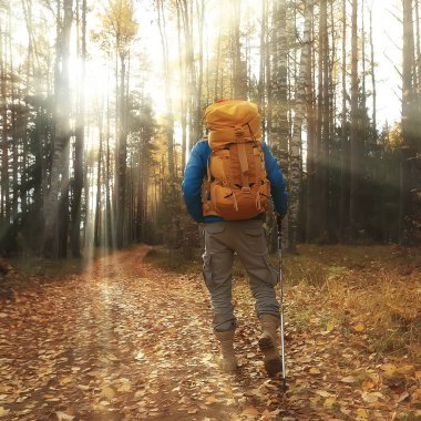 Sırt çantalı adam arkadan bir manzara, ormanda yürüyüş, sonbahar manzarası, sırt çantalı bir turistin arkası.