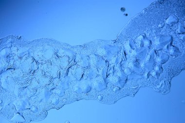 Mavi buzlu cam arka plan, buzun yüzeyinin soyut dokusu, donmuş mevsimlik su.