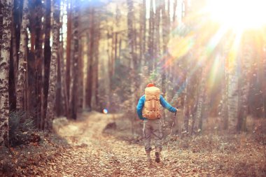 Sırt çantasıyla sonbahar yürüyüşü, güneş ışınları, sonbahar manzarası, gün batımının ışıltısı...