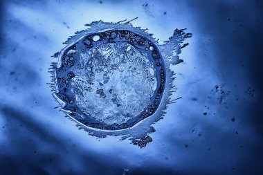 Mavi buzlu cam arka plan, buzun yüzeyinin soyut dokusu, donmuş mevsimlik su.