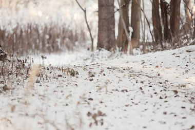 Kış manzarası, çimen, kar, Noel, doğanın beyaz fotoğrafı, karla kaplı.