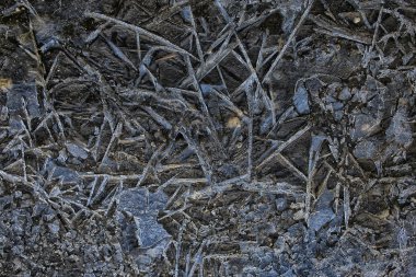 Ezilmiş buz camı arka planda çatlaklar, soyut mevsimsel arka plan, ezilmiş buz parçaları keskin kaplama