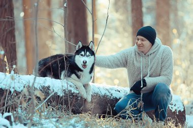 Köpekli bir adam kış ormanlarında yürüyüşe çıkıyor, güneşli bir Noel manzarası, parkta yaşayan insanlar ve köpekler.