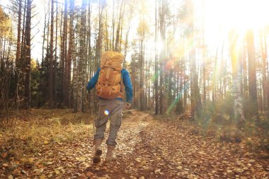 Sırt çantasıyla sonbahar yürüyüşü, güneş ışınları, sonbahar manzarası, gün batımının ışıltısı...