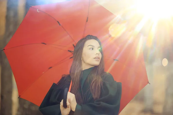 Herbstlook Sonniger Tag Ein Junges Mädchen Mit Regenschirm Spaziert Oktober — Stockfoto