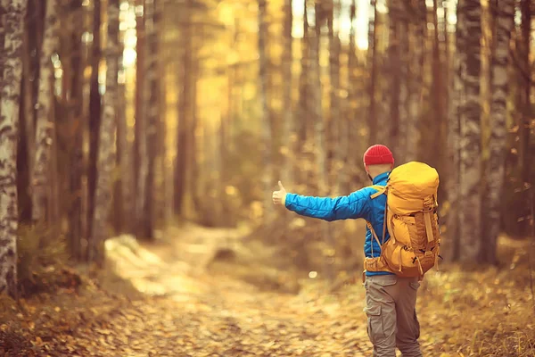 Man Met Rugzak Uitzicht Vanaf Rug Wandelen Het Bos Herfstlandschap — Stockfoto