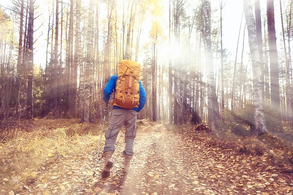 autumn hike with a backpack, sun rays, autumn landscape, a man in the forest glare of light sunset