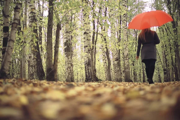 在秋天的公园里摆着雨伞的女孩 10月的风景寂寞的女人举着红色的雨伞 — 图库照片