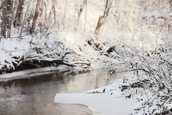 Paisagem Inverno Floresta Belas Árvores Cobertas Neve Vista Sazonal Natureza — Fotografia de Stock