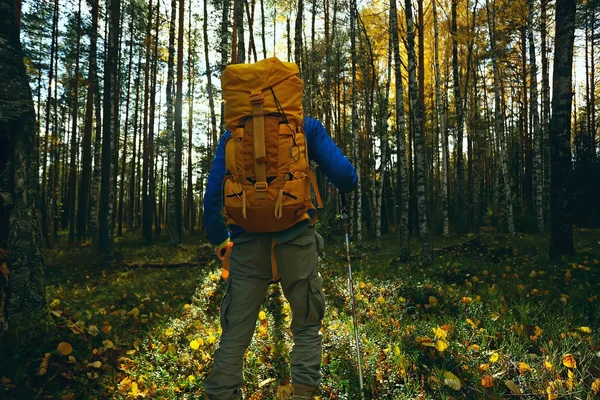 Man Backpack View Back Hiking Forest Autumn Landscape Back Tourist — Stock Photo, Image