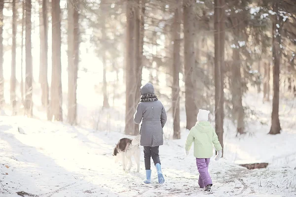 Barn Leker Med Hund Vinterlandskapet Solig Skog Snöfall Flickor Och — Stockfoto