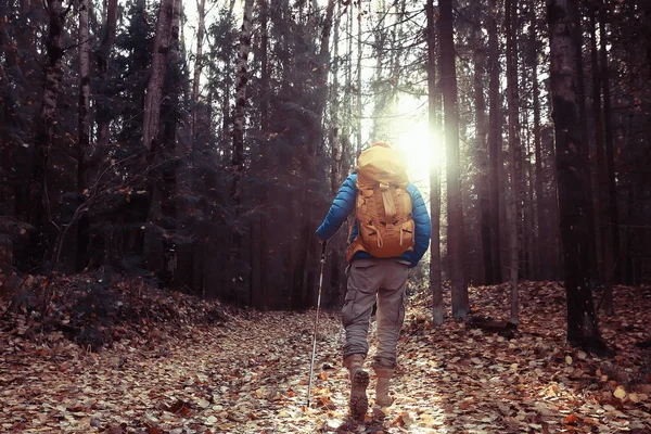 Herfst Kamperen Het Bos Een Mannelijke Reiziger Loopt Door Het — Stockfoto