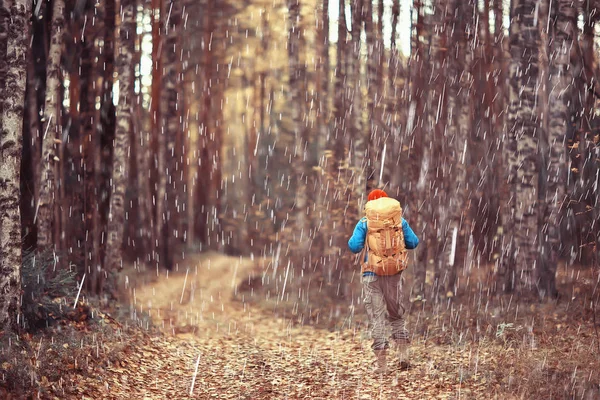 Floresta Outono Chuvosa Paisagem Homem Uma Caminhada Floresta Molhada Outubro — Fotografia de Stock