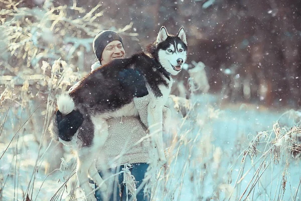 Человек Тренирует Собаку Зимний Лес Парень Хаски Собака Зимнем Лесном — стоковое фото