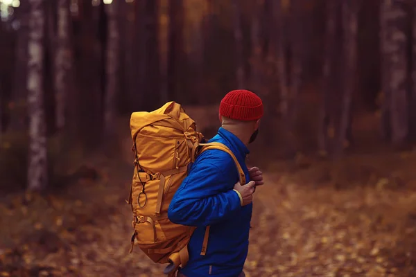 Man Met Rugzak Uitzicht Vanaf Rug Wandelen Het Bos Herfstlandschap — Stockfoto