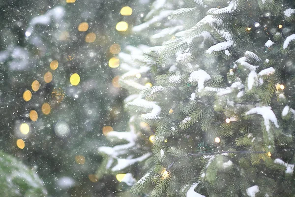 Wazig Achtergrond Kerstboom Buiten Gedecoreerde Sneeuw Achtergrond Nieuwjaar — Stockfoto