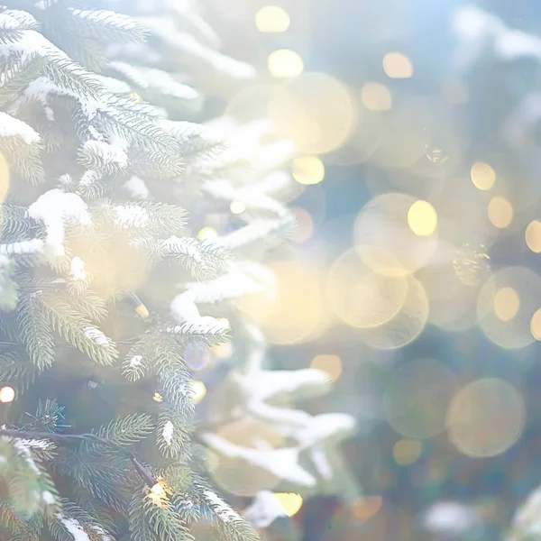背景模糊 圣诞树外面 雪景装饰 — 图库照片