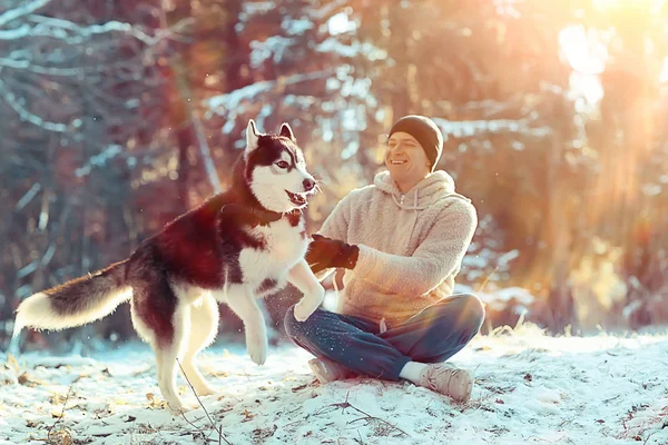 young man hugs a husky dog in the winter in the forest, a man and a dog hug together and play in a winter nature landscape