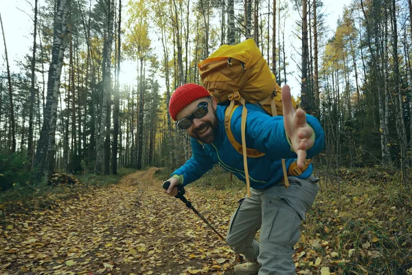 Follow Hike Man Invites You Forest Hike Autumn Landscape Forest — Stock Photo, Image