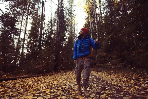 Camping Automne Dans Forêt Voyageur Masculin Promène Dans Forêt Feuilles — Photo