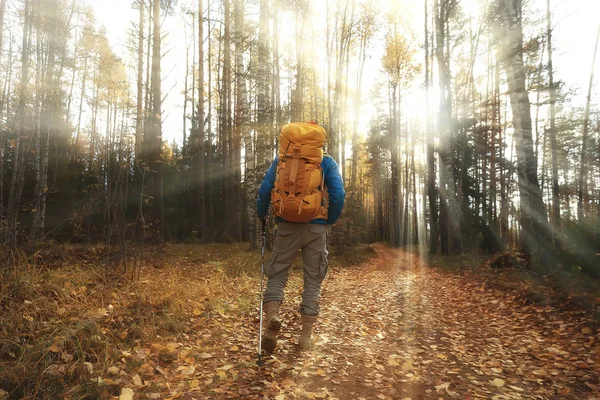 Homme Avec Sac Dos Une Vue Dos Randonnée Dans Forêt — Photo