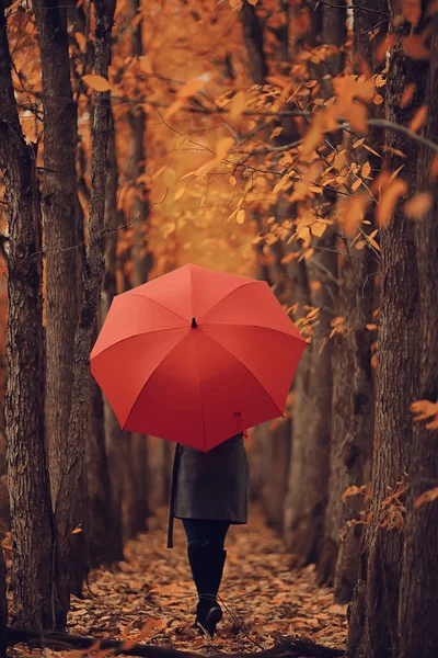 Sonbahar Akşamında Kadın Şemsiyesini Tutuyor Ekim Ayında Karanlık Şehir Parkında — Stok fotoğraf