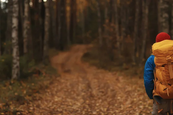 Человек Рюкзаком Вид Сзади Походы Лес Осенний Пейзаж Задняя Часть — стоковое фото