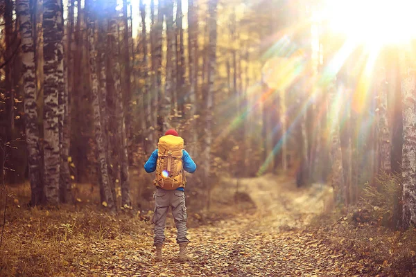 Herbstwanderung Mit Rucksack Sonnenstrahlen Herbstlandschaft Ein Mann Hellen Sonnenuntergang Wald — Stockfoto