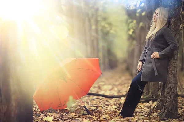 Podzim Pohled Slunečný Den Mladá Dívka Deštníkem Procházky Žlutém Parku — Stock fotografie