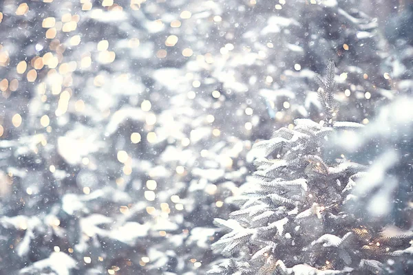 Wazig Achtergrond Kerstboom Buiten Gedecoreerde Sneeuw Achtergrond Nieuwjaar — Stockfoto