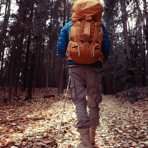 バックパック付きの男バックパック付きの観光客の背中 森の中のハイキング 秋の風景 — ストック写真
