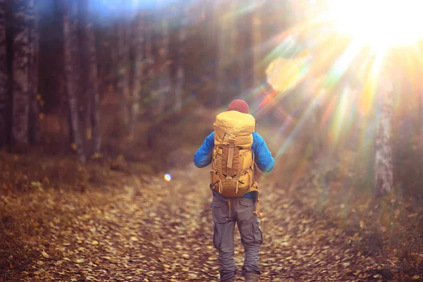 Sırt Çantalı Adam Arkadan Bir Manzara Ormanda Yürüyüş Sonbahar Manzarası — Stok fotoğraf