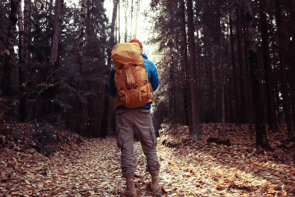 Homem Com Mochila Uma Vista Das Costas Caminhadas Floresta Paisagem — Fotografia de Stock