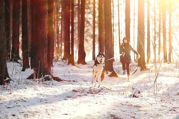 Children Play Dog Winter Landscape Sunny Forest Snowfall Girls Husky — Stock Photo, Image
