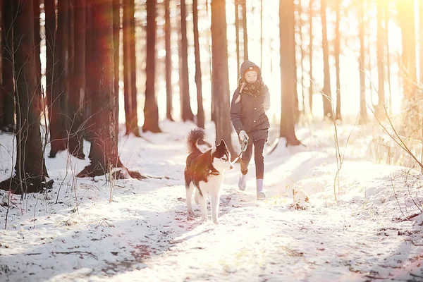 子供たちは日当たりの良い森の冬の風景の中で犬と遊んでいます — ストック写真