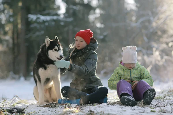 Niños Juegan Con Perro Paisaje Invernal Bosque Soleado Niñas Nevadas —  Fotos de Stock