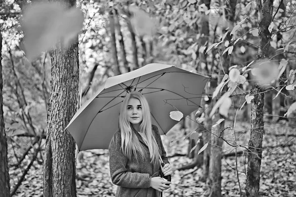 Девушка Зонтиком Позирующая Осеннем Парке Одинокая Октябрьская Женщина Красным Зонтиком — стоковое фото