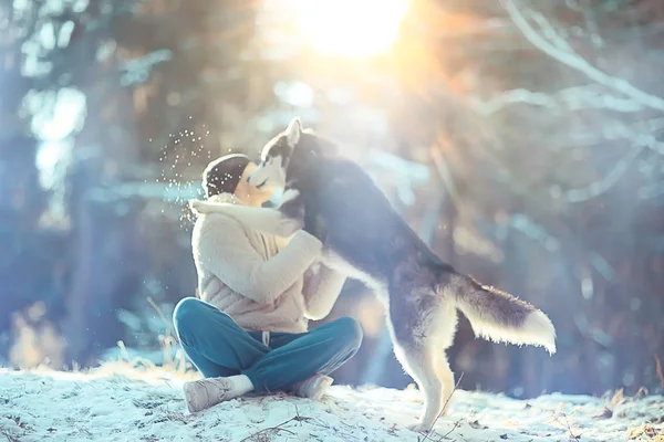 Man Traint Een Hond Winter Bos Een Man Een Husky — Stockfoto