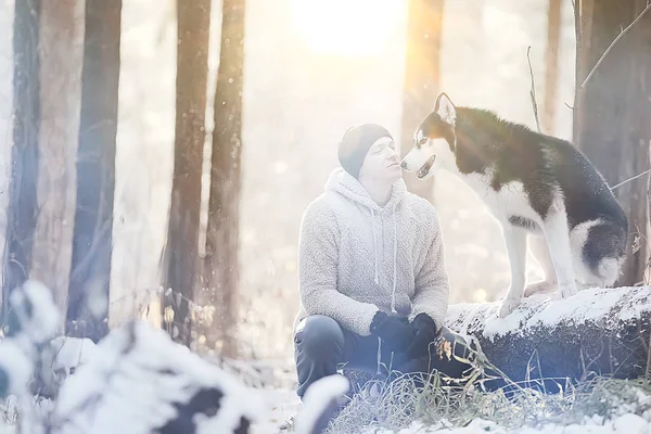 Mann Mit Hund Geht Winterwald Spazieren Sonnige Weihnachtslandschaft Freunde Der — Stockfoto